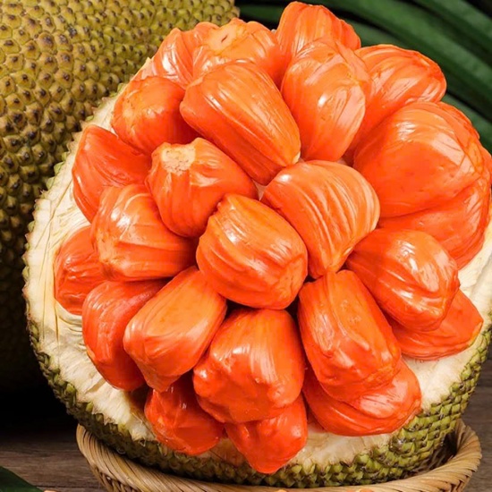 Mít Ruột Đỏ
